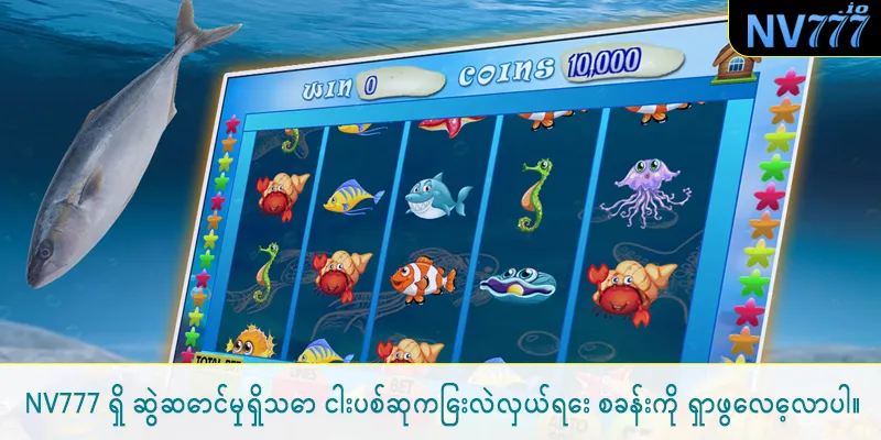NV777 ရှိ ဆွဲဆောင်မှုရှိသော ငါးပစ်ဆုကြေးလဲလှယ်ရေး စခန်းကို ရှာဖွေလေ့လာပါ။